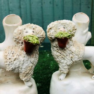 PAIR MID 19thC STAFFORDSHIRE POODLE DOGS WITH BASKETS,  SPILL VASES c1840s 4