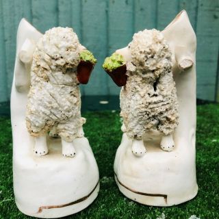 PAIR MID 19thC STAFFORDSHIRE POODLE DOGS WITH BASKETS,  SPILL VASES c1840s 7