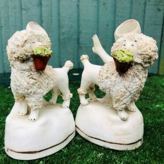 PAIR MID 19thC STAFFORDSHIRE POODLE DOGS WITH BASKETS,  SPILL VASES c1840s 8