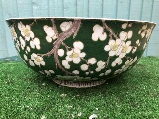 19thC CHINESE LARGE GREEN & WHITE BOWL WITH PRUNUS FLOWERS c1880s 3