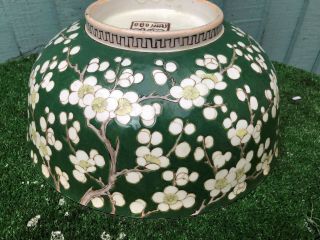 19thC CHINESE LARGE GREEN & WHITE BOWL WITH PRUNUS FLOWERS c1880s 8