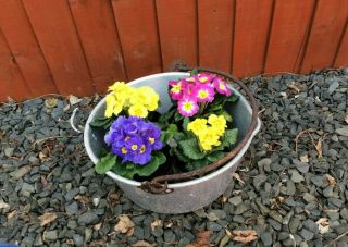 Vintage Galvanised Planter - - Jam Pan 6