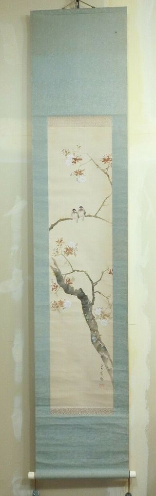 I549: Japanese hanging scroll.  bird on cherry tree with good painting. 2