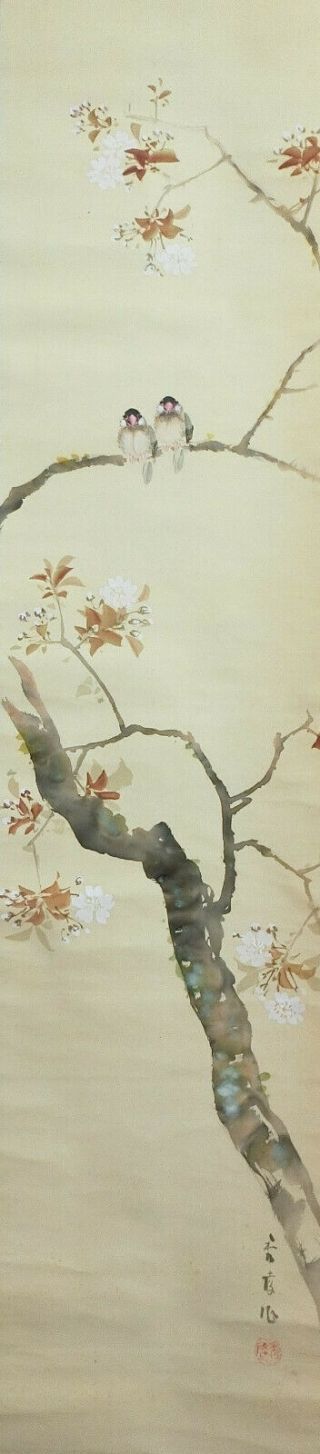 I549: Japanese hanging scroll.  bird on cherry tree with good painting. 3