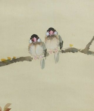 I549: Japanese hanging scroll.  bird on cherry tree with good painting. 4