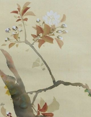 I549: Japanese hanging scroll.  bird on cherry tree with good painting. 6