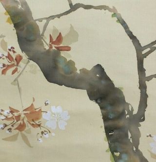 I549: Japanese hanging scroll.  bird on cherry tree with good painting. 7