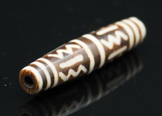 Antique Pumtek Thunder Rings Etched Petrified Wood Se Asia Tribal Chin Bead Rare