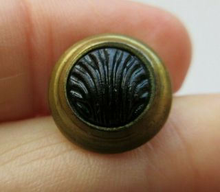 Exceptional Antique Vtg Victorian Black Glass In Metal Button Seashell (d)