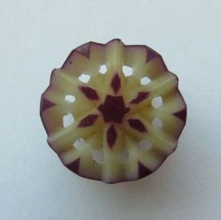 Delicate Antique Vtg Pierced Carved Dyed Vegetable Ivory Button Unique 1/2 " (h)