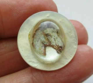 Lovely Antique Vtg Horse Head Design Under Glass On Pearl Shell Button 7/8 " (h)