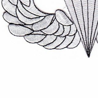 Airborne Basic Jump Wings Badge Patch 5