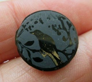Gorgeous Antique Vtg Victorian Acid Etched Black Glass Picture Button Bird (f)