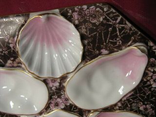 Pr Antique Fine Porcelain Oyster Plates 5