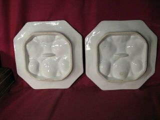 Pr Antique Fine Porcelain Oyster Plates 6