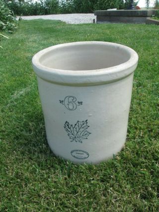 Vtg Ant Western Stoneware Co 6 Gallon Maple Leaf Crock Monmouth Il Pickle Jar Nr