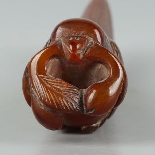 Chinese Exquisite Hand - carved bird Carving OX Horn statue 4