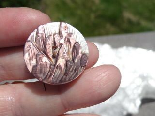 Large Antique Mother Of Pearl Button With Carved Shell Cattails