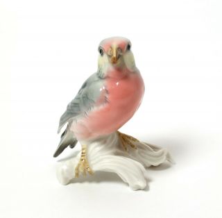 Porcelain Figurine Bird.  Germany,  Porzellanfabrik Karl Ens.