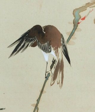 I527: Japanese Old Hanging Scroll.  Bird On Branch With Good Atmosphere.