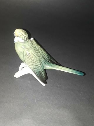 Karl Ens Porcelain Figurine,  Green Budgie/Parakeet 5