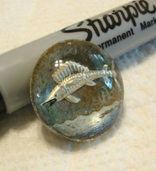 Vintage Reverse Painted Glass Sword Fish Picture Button 7/8 