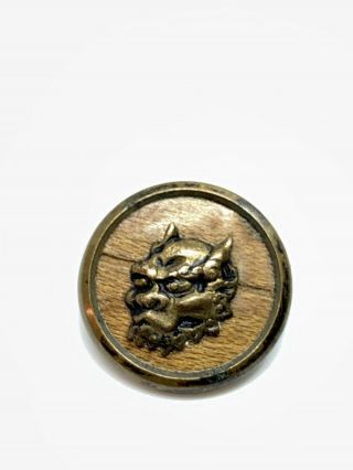 Unusual Wooden Brass Victorian Menacing Devil Button 15.  10mm Frightful 4