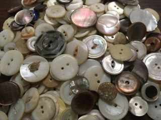 Antique & Vintage Buttons - Mother Of Pearl,  Abalone,  Shell - Various Sizes Lot3