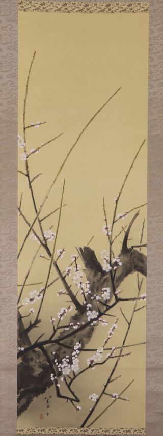 Japanese Hanging Scroll Art Painting " Plum Blossoms " Asian Antique E7945