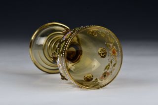 Theresienthal Bohemian Blown Art Glass Enamel Painted Goblet 6 4