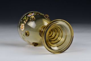 Theresienthal Bohemian Blown Art Glass Enamel Painted Goblet 6 5
