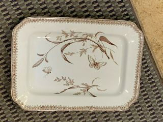 Vintage T & R Boote Enlgand Ironstone Platter Serving Tray Butterfly Summer Time