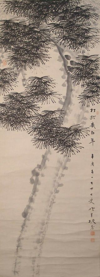 1707 Japanese Hanging Scroll: Pine Tree