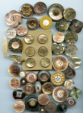 51 Various Decorative Mop Mother Of Pearl Antique Buttons Larges 1.  4 "