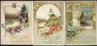 3 - 1890s Trade Cards,  Dodge Family Shoe Store,  Boston,  Ma. ,  Am.  Spring Buttons