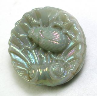 Antique Gray Glass Button Beetle W Sea Shell Carnival Luster Hard To Find 11/16 "