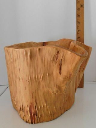 Large Burl Wood Bowl Planter Basket Hand Carved Wood Tree Trunk
