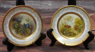 Patti Canaris Butterfly Series,  Kern Collectibles,  Vintage 1983,  2 Plates - 6 "