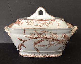 Aesthetic Antique Brown Transferware Ironstone Tureen & Lid Summertime T&r Boote