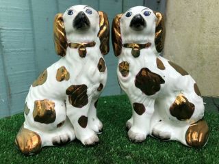Pair: 19thc Staffordshire Copper Lustre & White Spaniel Dogs C1880s