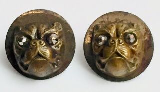 Pair Antique Vintage Victorian French Bulldog Buttons Earrings Marcasite Eyes