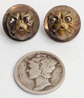 Pair Antique Vintage Victorian French Bulldog Buttons Earrings Marcasite Eyes 2