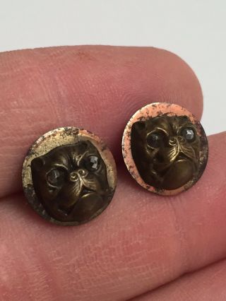 Pair Antique Vintage Victorian French Bulldog Buttons Earrings Marcasite Eyes 5
