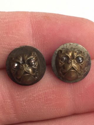 Pair Antique Vintage Victorian French Bulldog Buttons Earrings Marcasite Eyes 7