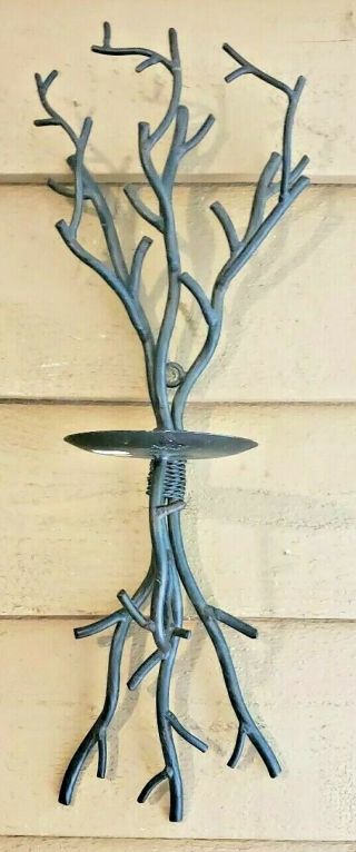 Wall Sconce Wrought Iron Tree Branch Candle Holder Crate & Barrel