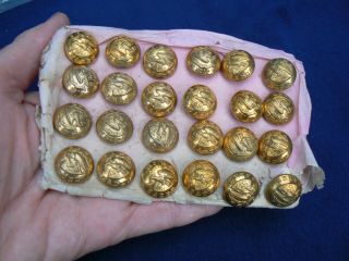 24 Antique Military Eagle Cadet Buttons Gold 5/8 " Card