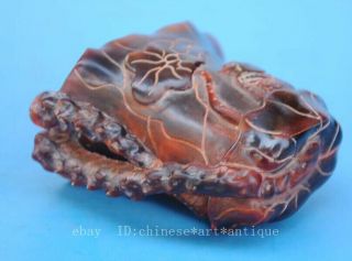 Old Chinese hand - carved fish lotus leaf horn carving cup d02 7