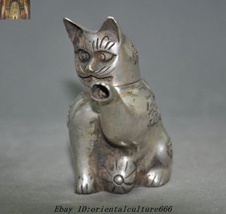 Marked Old Chinese Tibetan Silver Lucky Kitty Cat Statue kettle Teapot Wine Pot 7