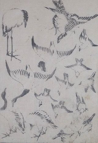 Hokusai Manga - Various Birds - Woodblock Print (woodcut)