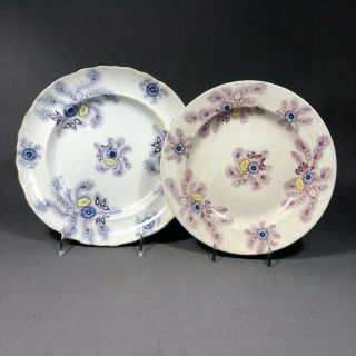 2 Mid 19th Century Staffordshire Pottery Plates Feather Design Walker And Carter
